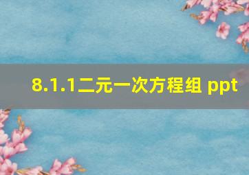 8.1.1二元一次方程组 ppt